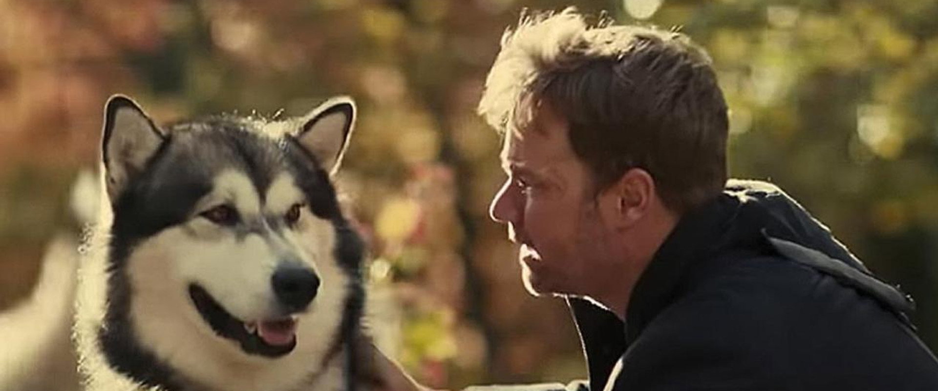 Hero Dog: The Journey Home backdrop