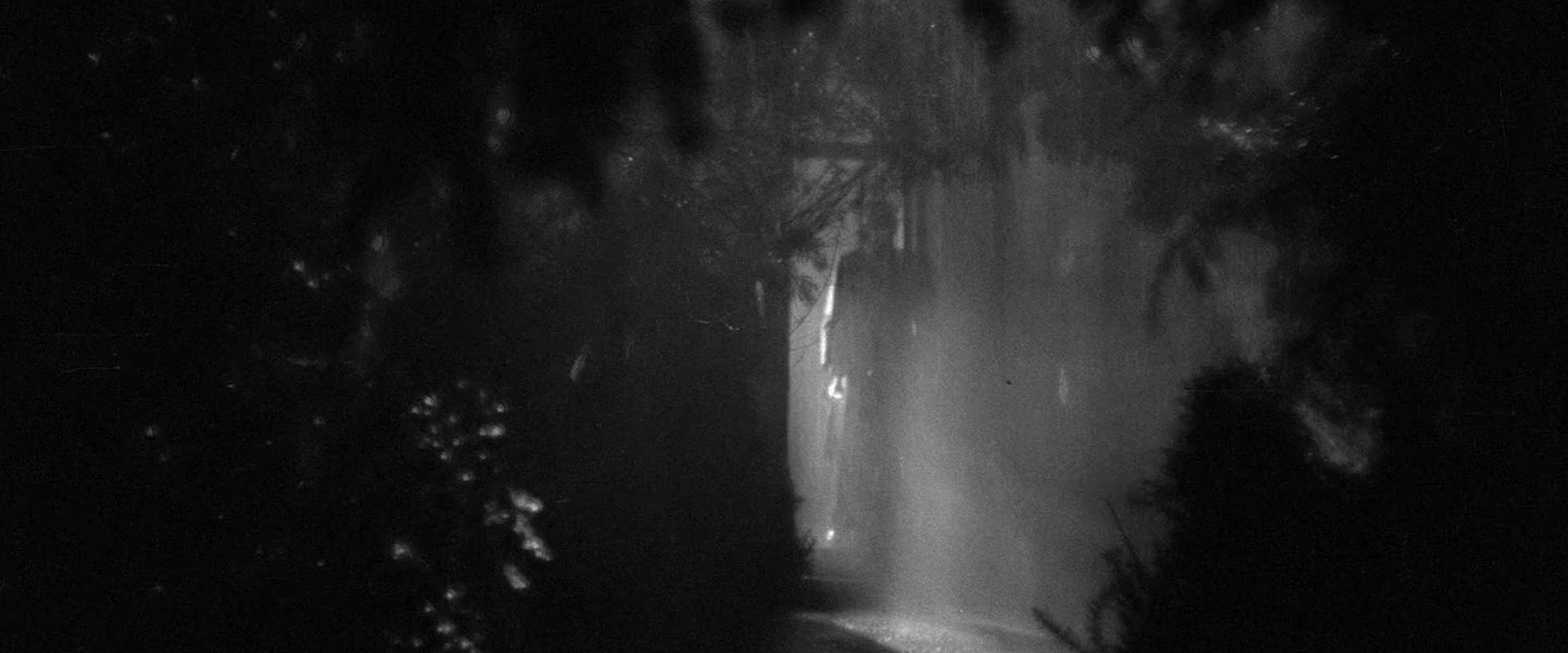 The Night Has Eyes backdrop