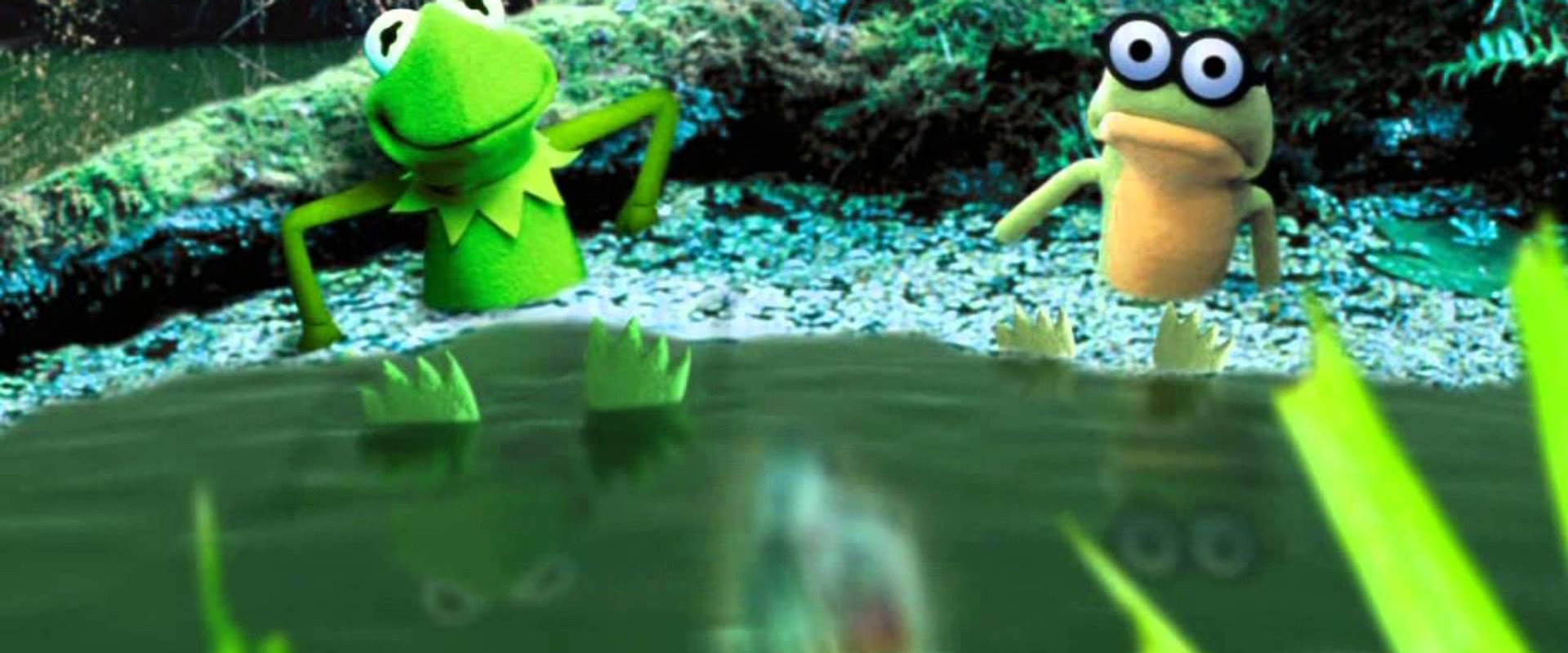 Kermit's Swamp Years backdrop