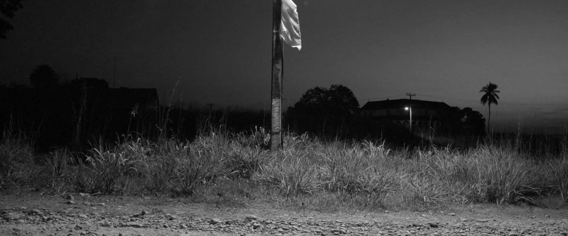 Fordlandia Malaise backdrop