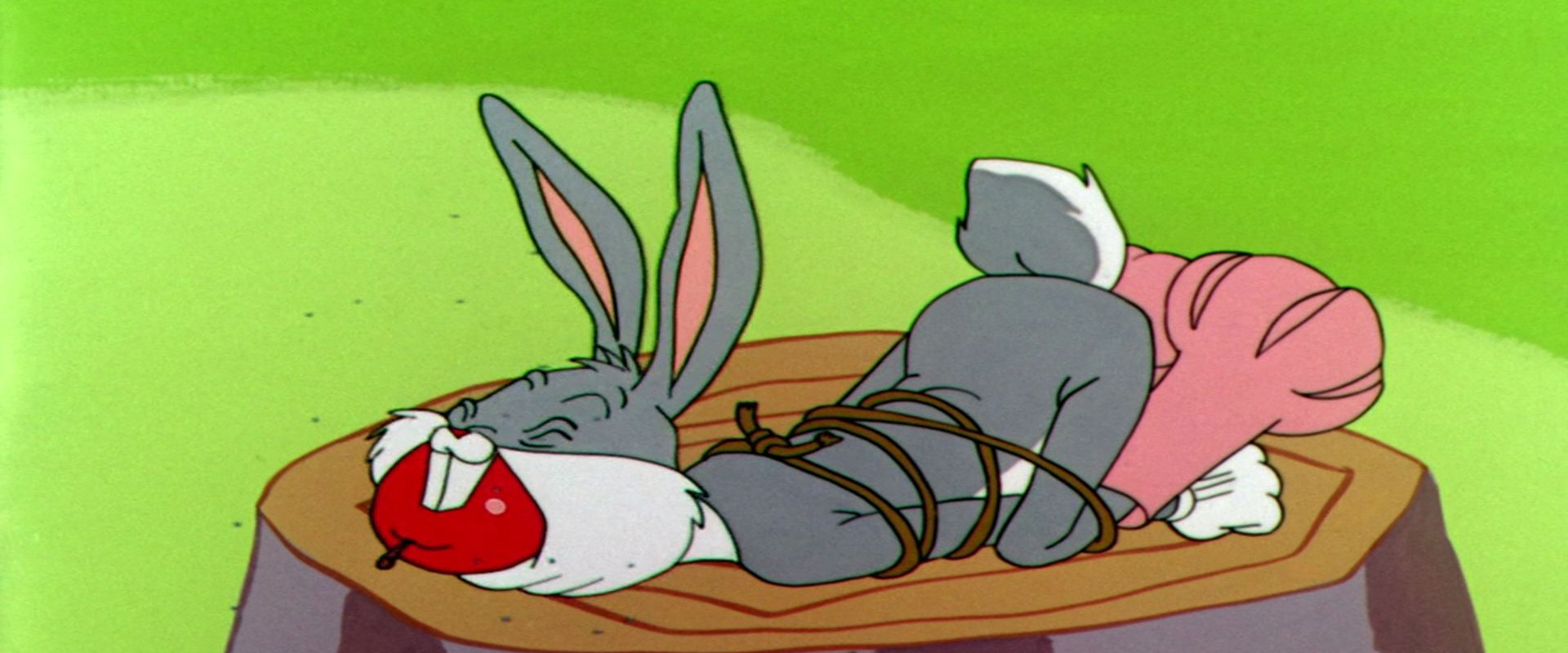 Bedevilled Rabbit backdrop