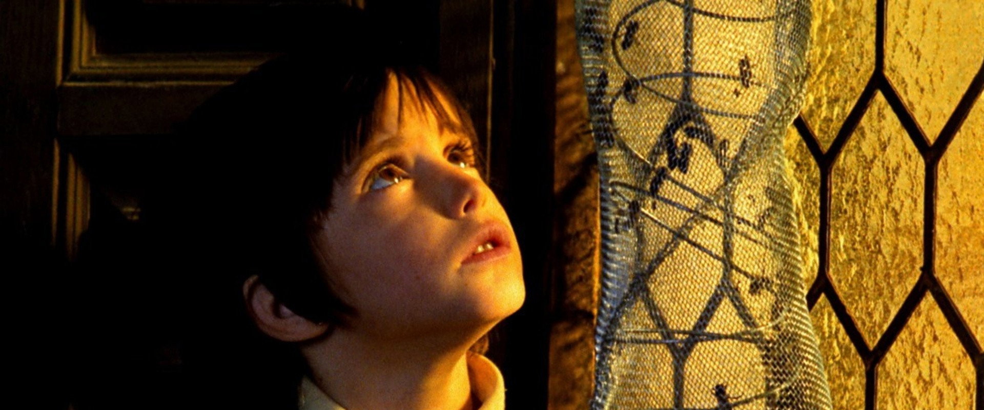 The Spirit of the Beehive backdrop