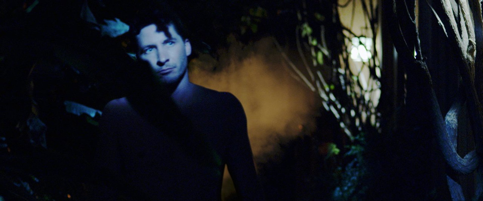 Hippopotamus backdrop