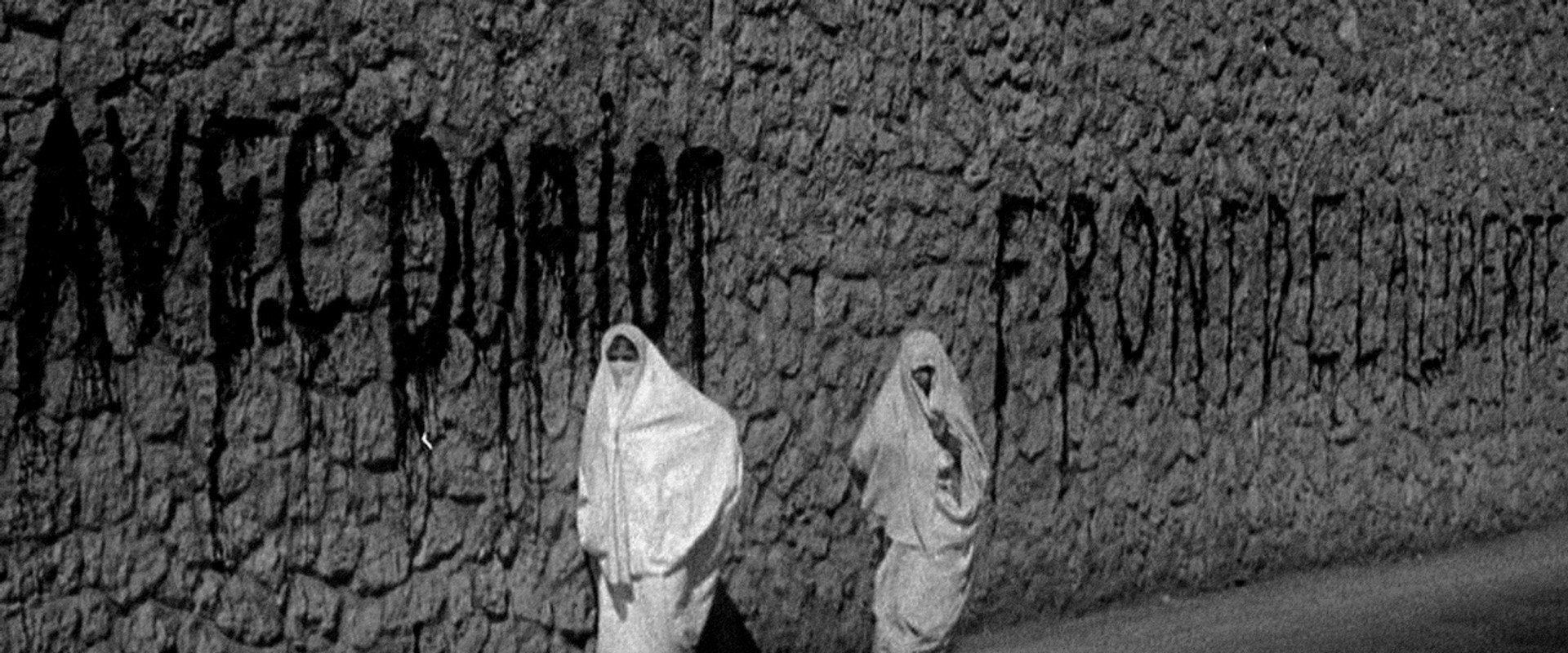 Algeria 1943: A Colony Under Vichy Control backdrop