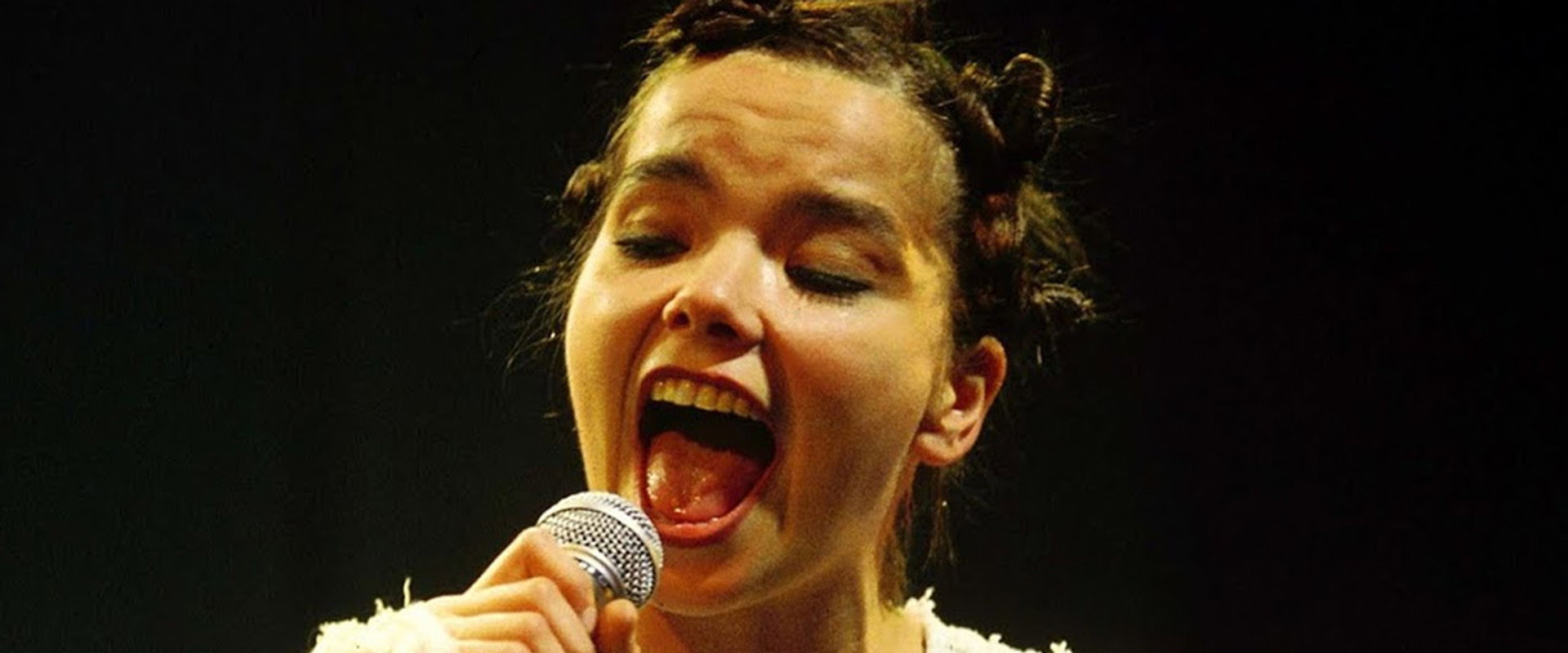 Björk: Vessel 1994 backdrop