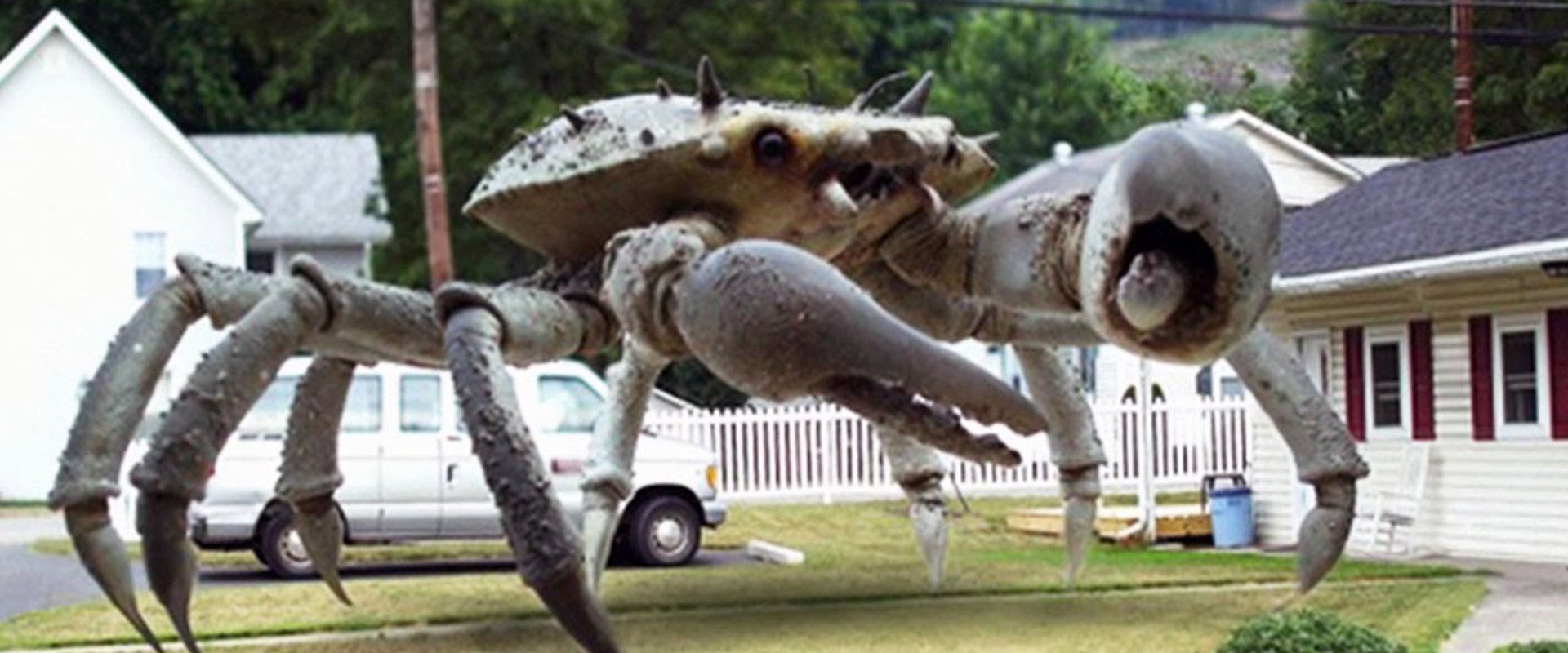 Queen Crab backdrop