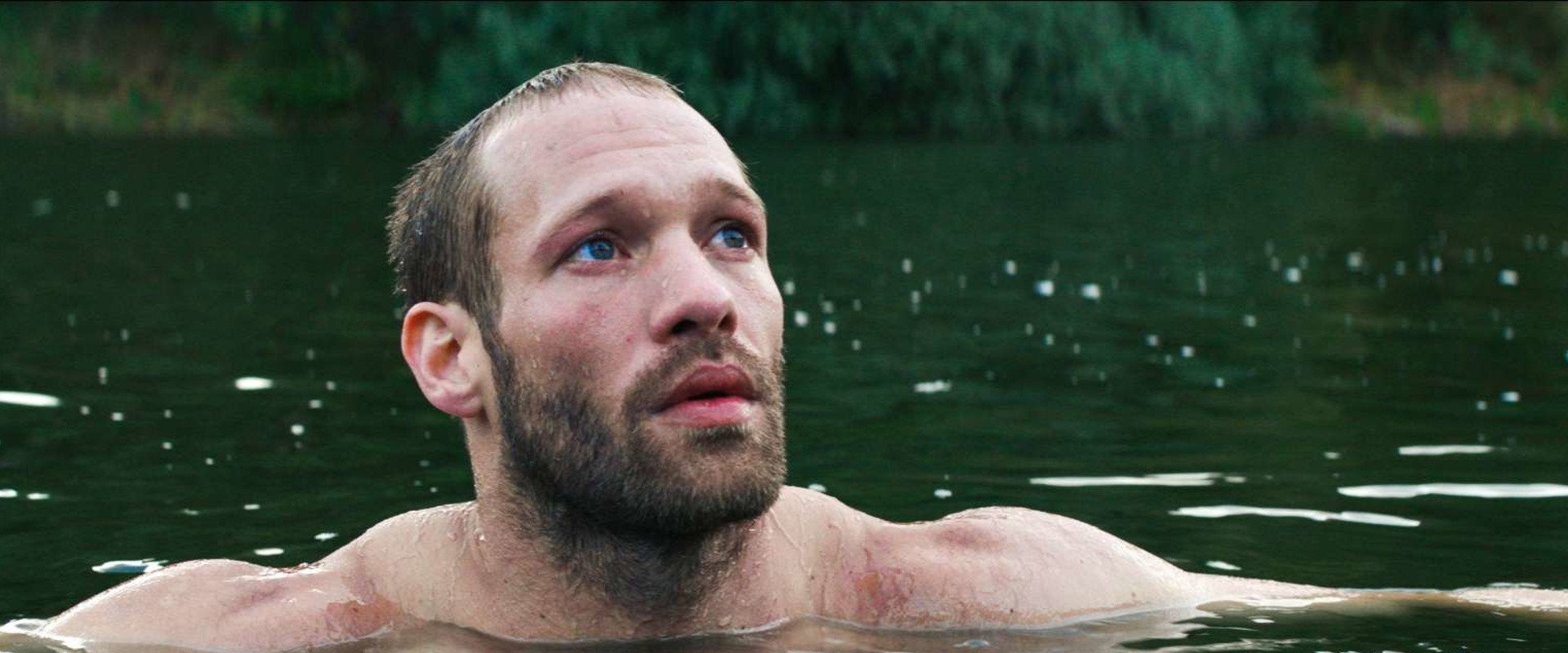 The Ornithologist backdrop