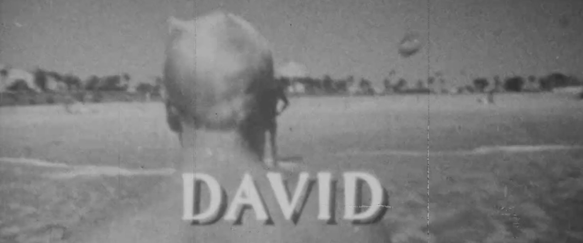 David backdrop
