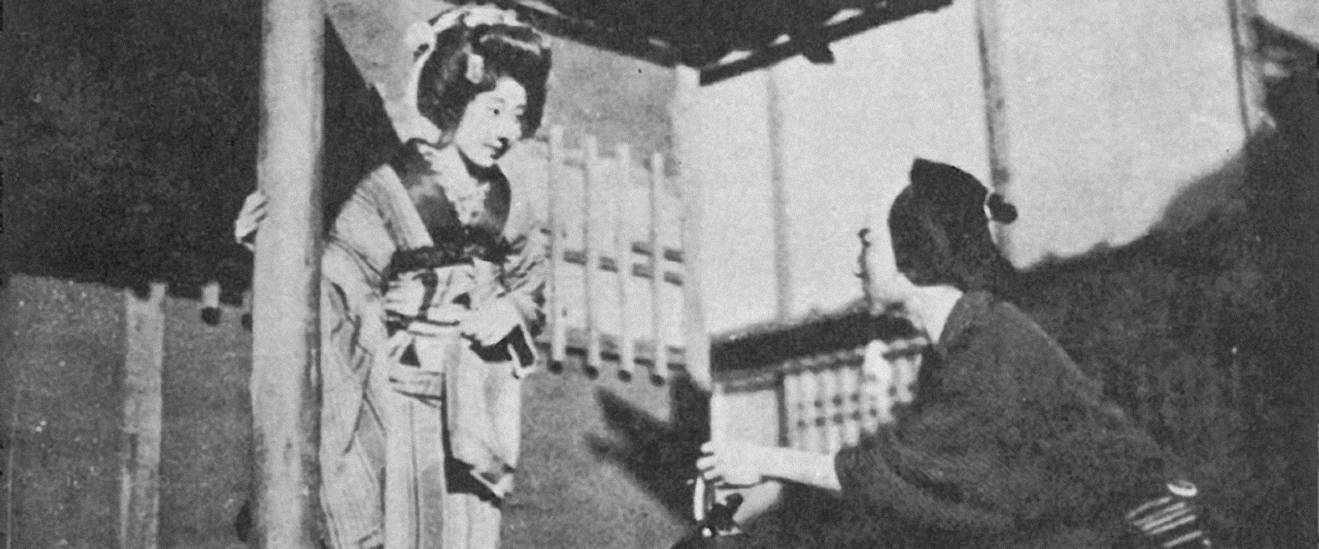 In Search of Mother backdrop