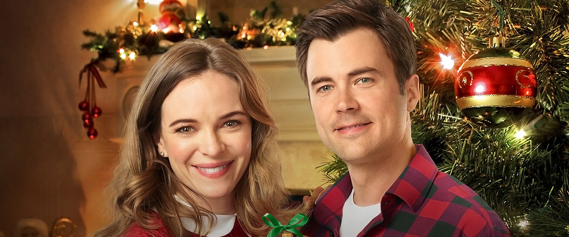 Christmas Joy backdrop