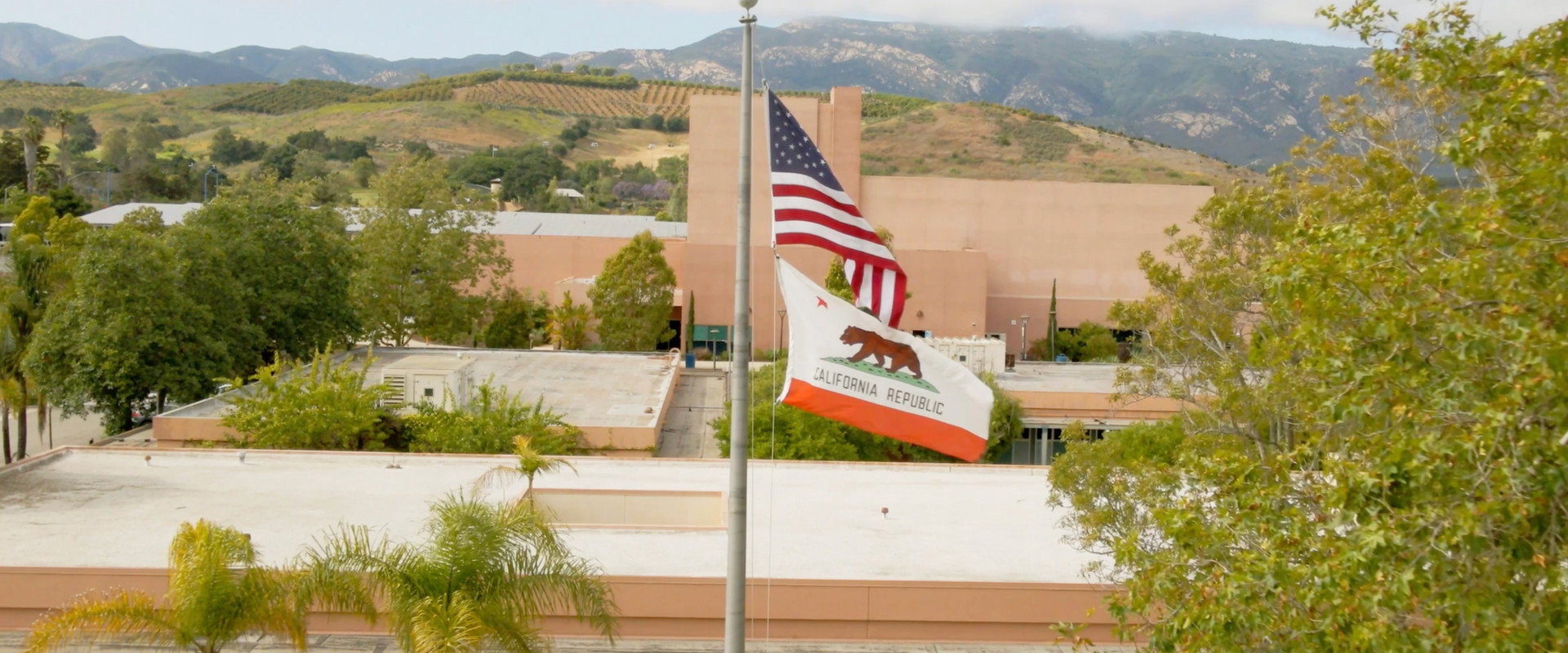The Bear Beneath backdrop
