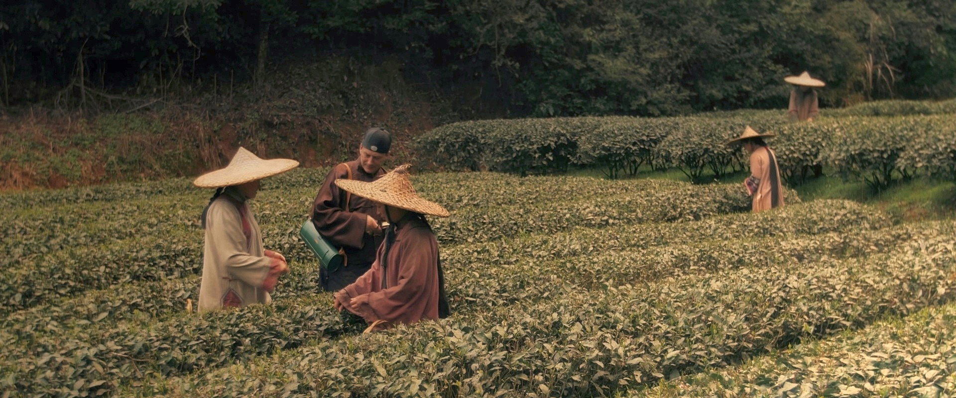 Tea War: The Adventures of Robert Fortune backdrop