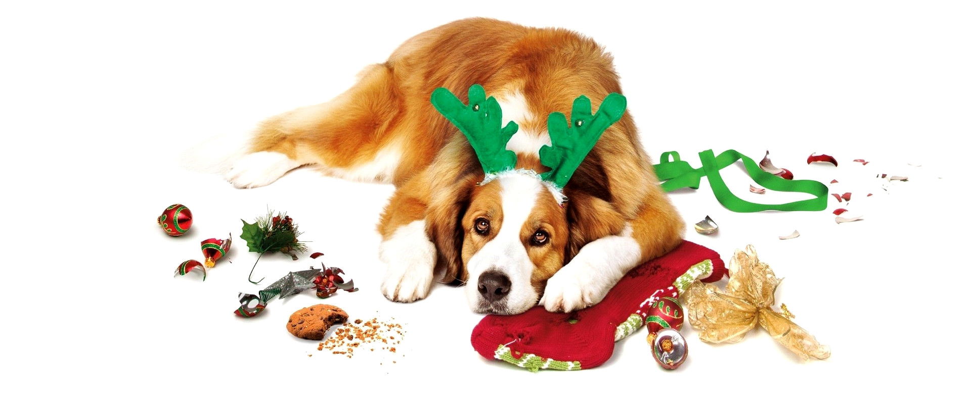 Love the Coopers backdrop