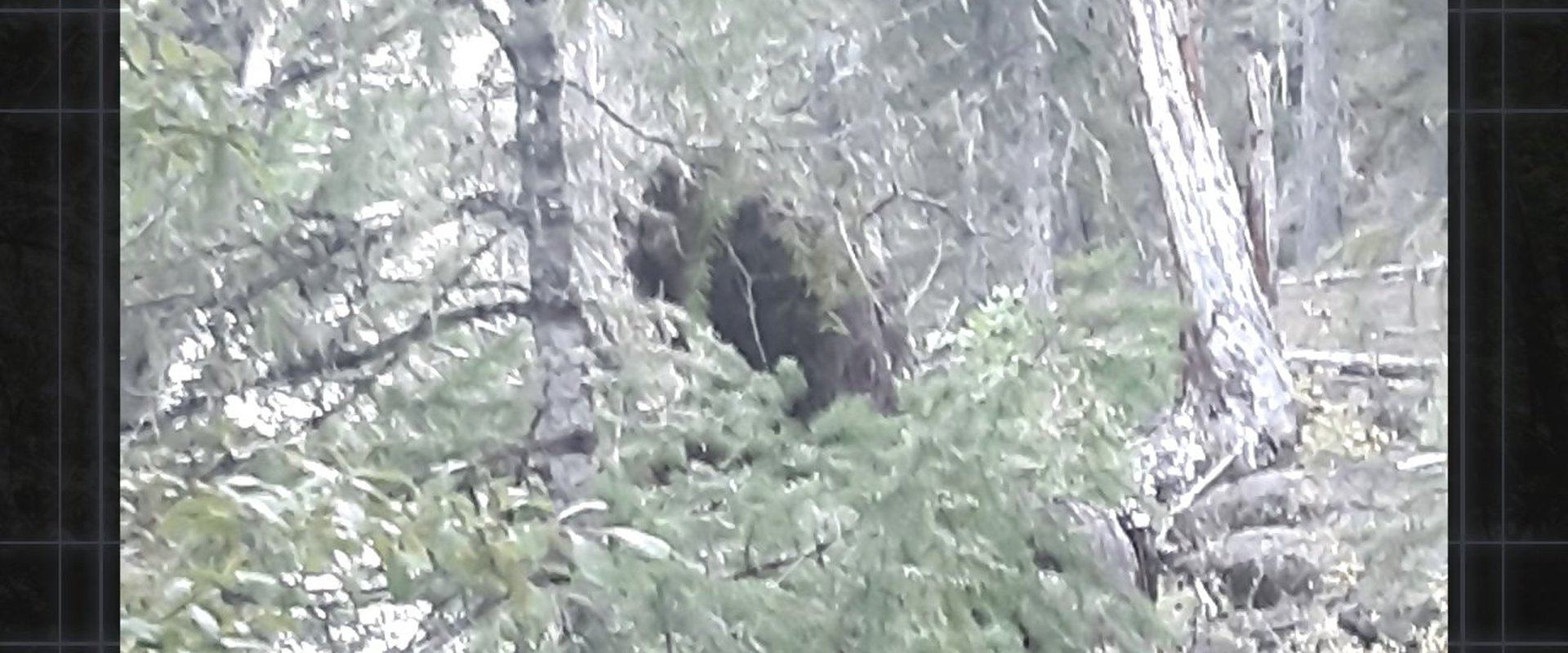 Bigfoot Evidence: Oregon