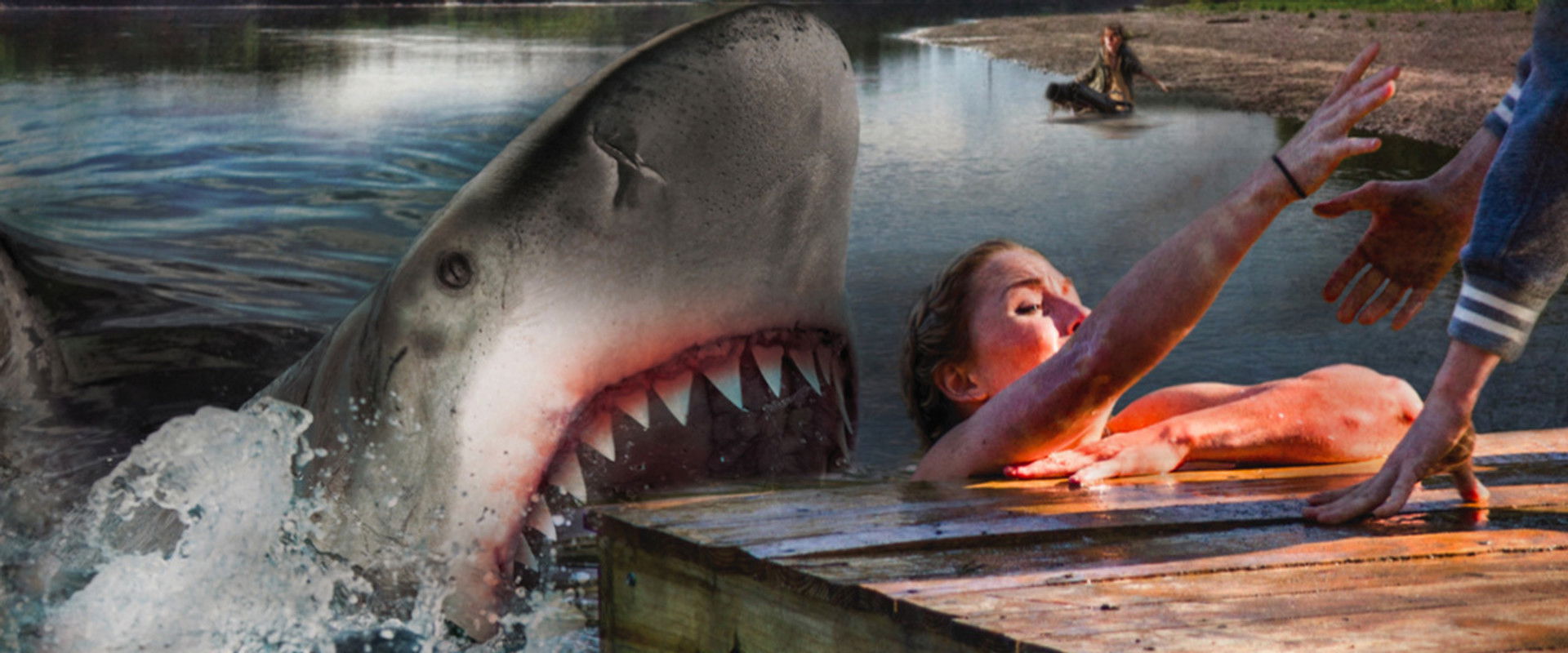 Ozark Sharks backdrop