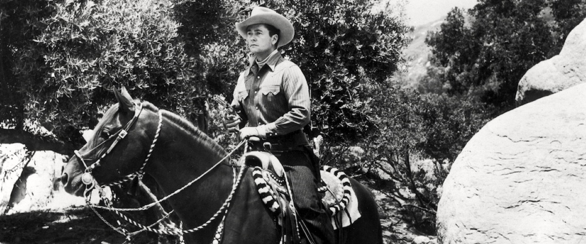 Overland Telegraph backdrop