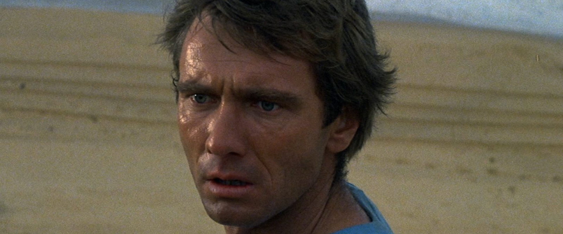 Long Weekend backdrop