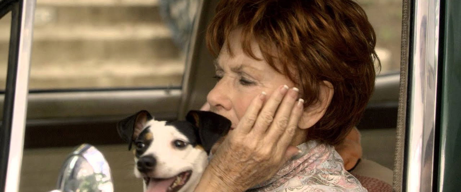 Heebie Jeebies backdrop