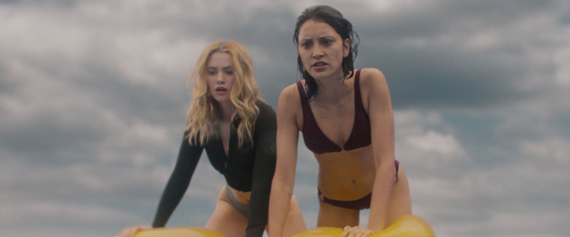 Killer Whale backdrop