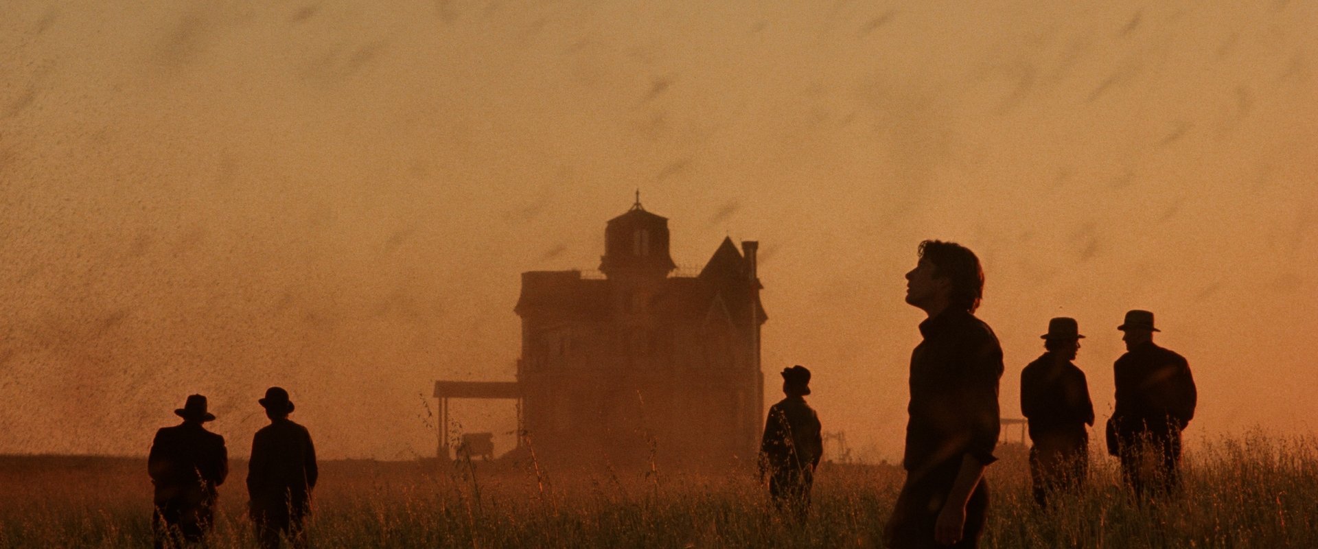 Days of Heaven backdrop