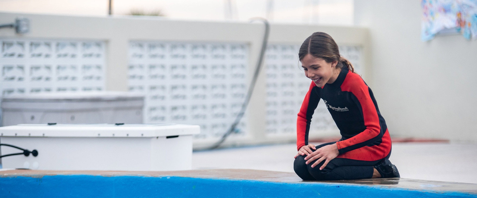 Bernie the Dolphin 2 backdrop