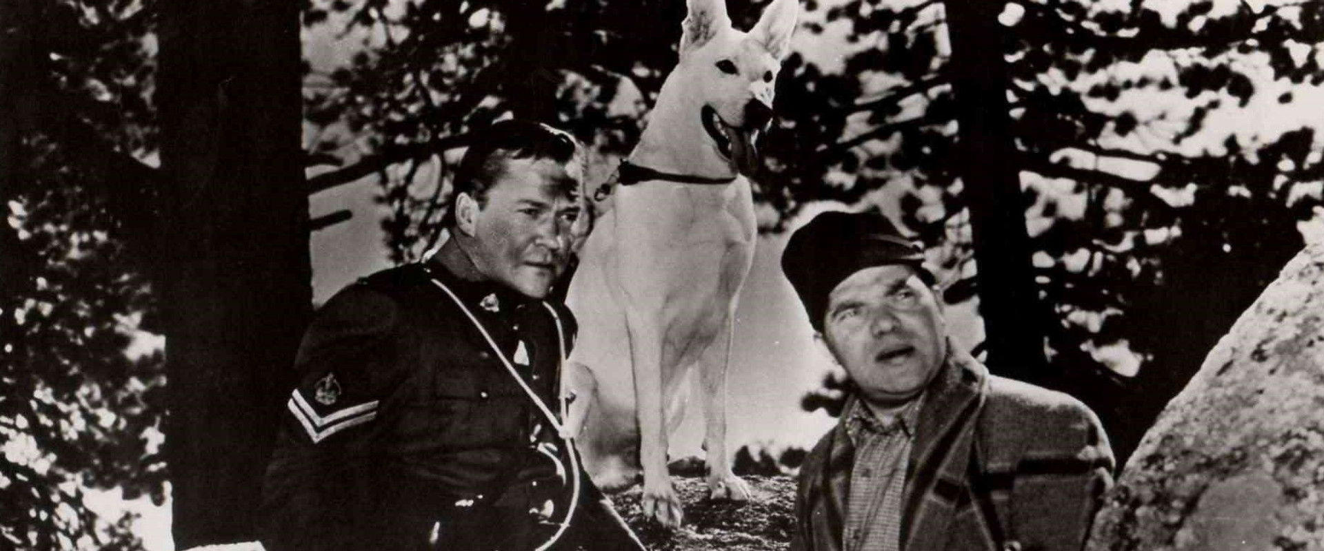 Call of the Klondike backdrop