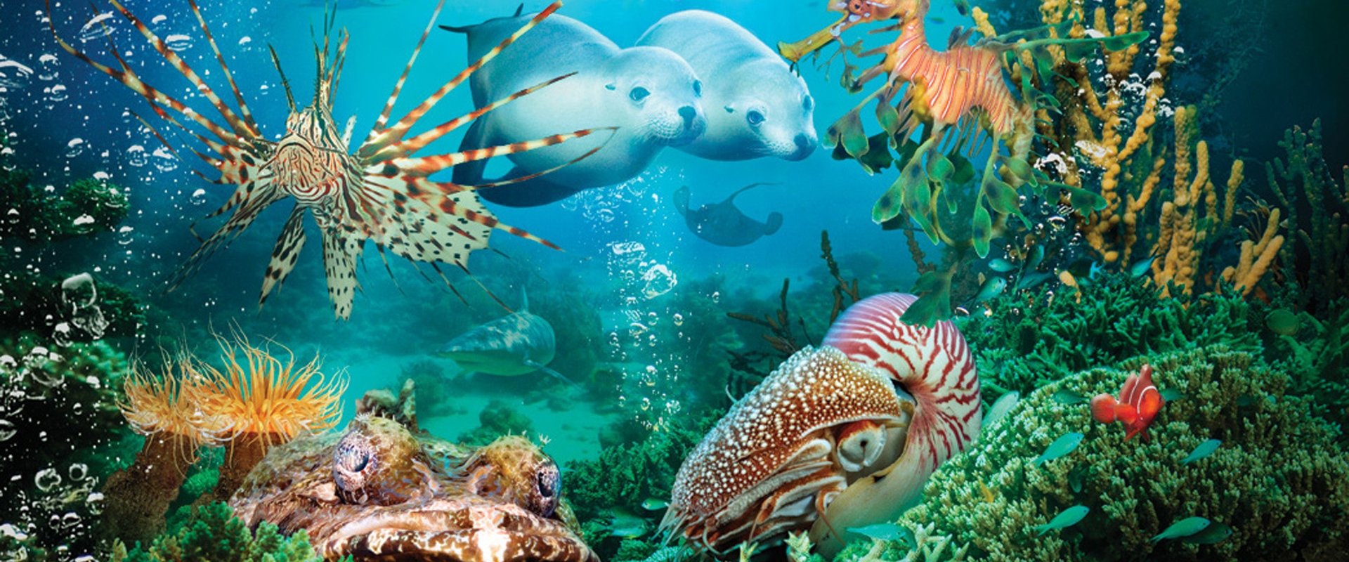 Under the Sea 3D backdrop