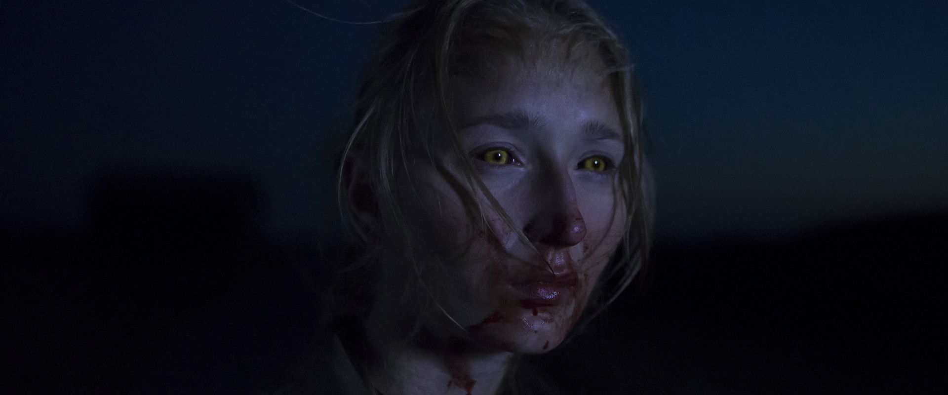 When Animals Dream backdrop