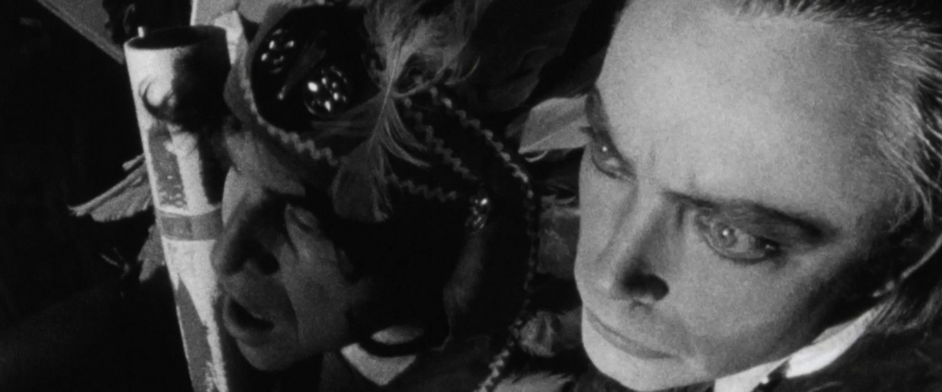 Idiots' Battle backdrop