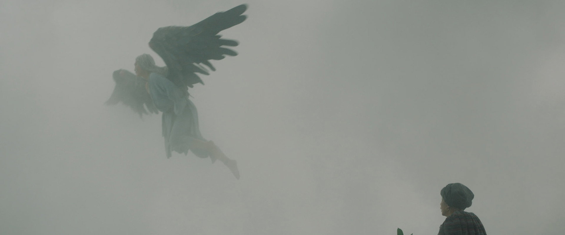 Sichuan Culinary Chronicles: In Four Chapters backdrop