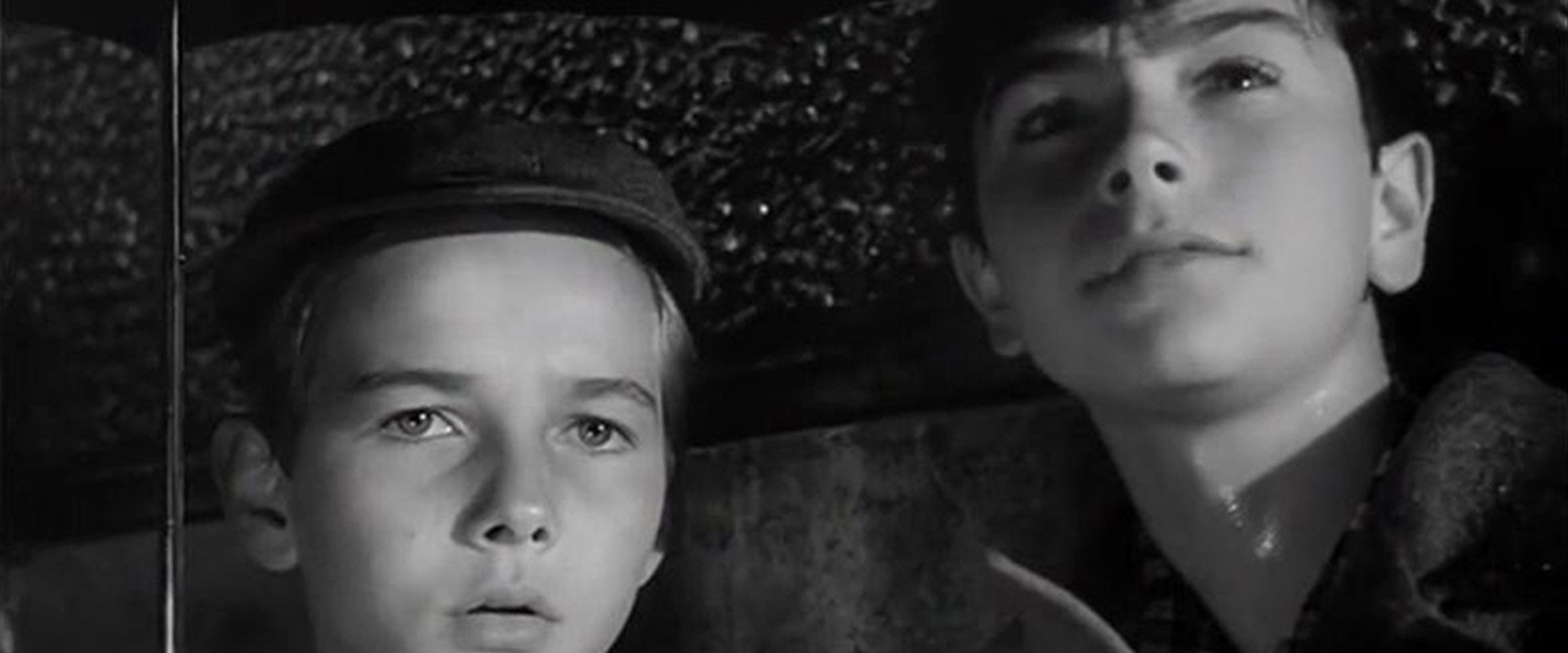 Friends for Life backdrop