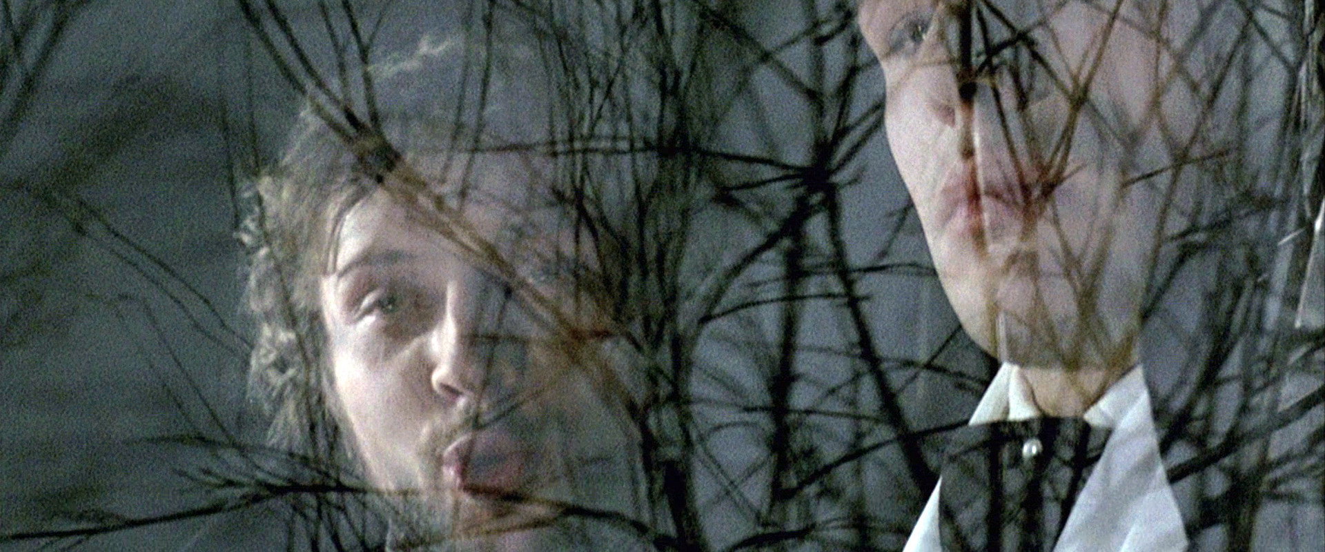 The Possessed backdrop