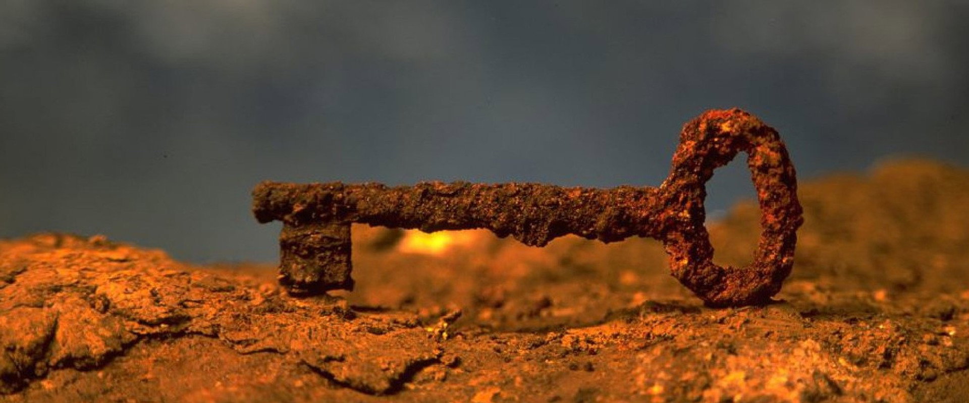 No Place on Earth backdrop