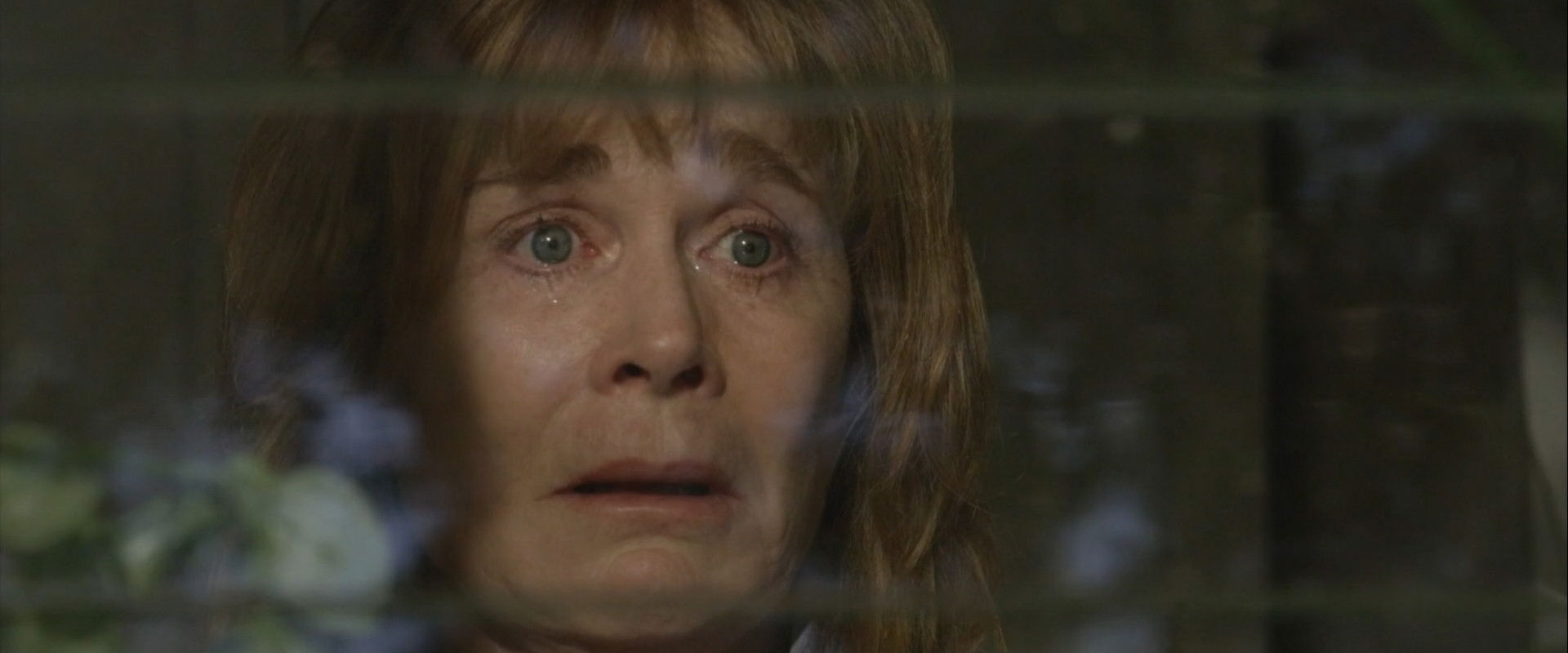 Harvey's Dream backdrop