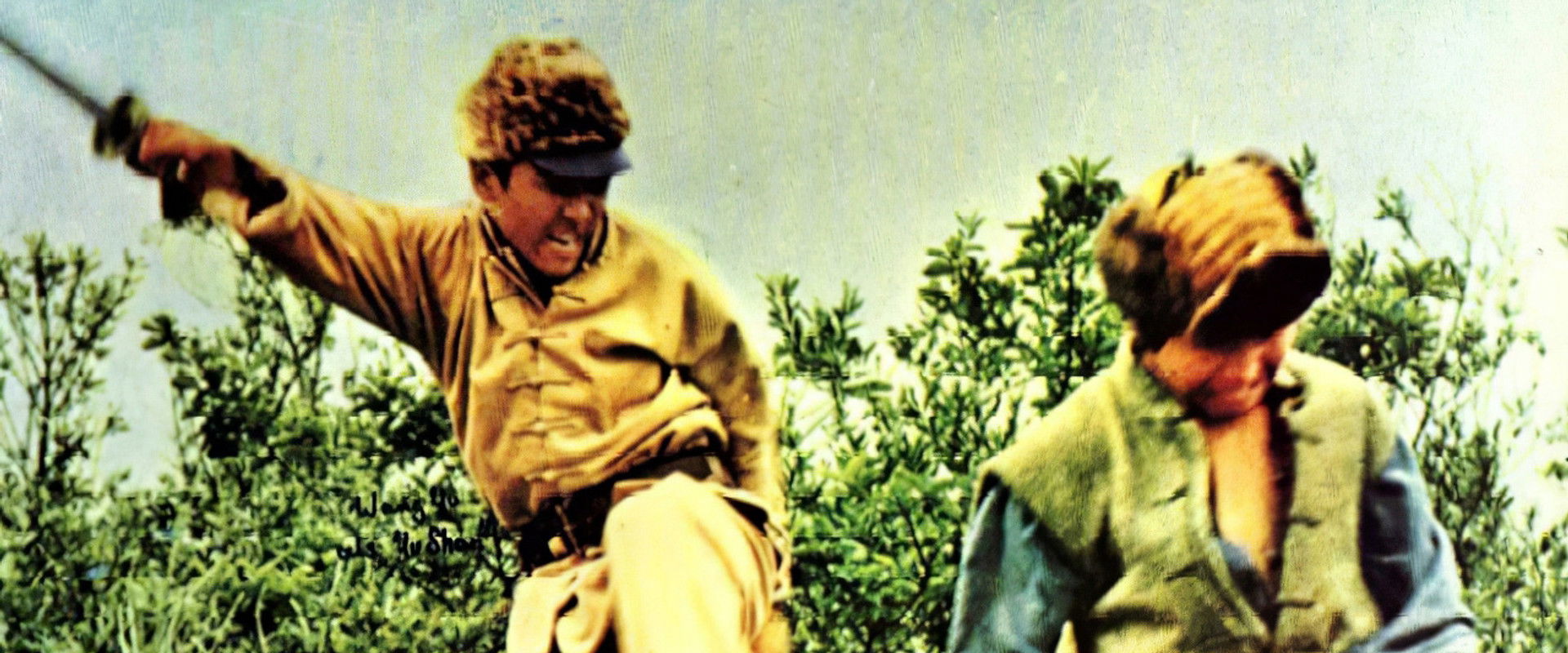 The Lion's Heart backdrop