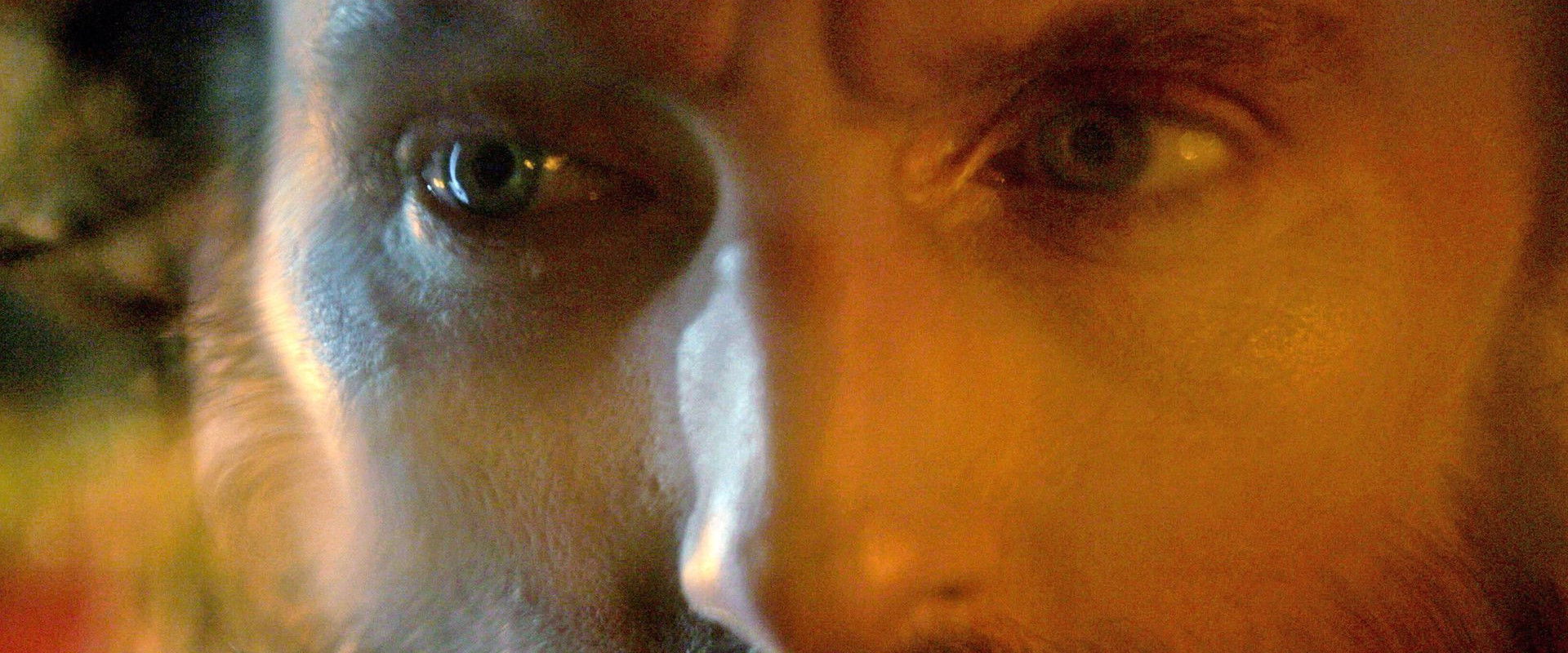 The Eyes of Dante backdrop