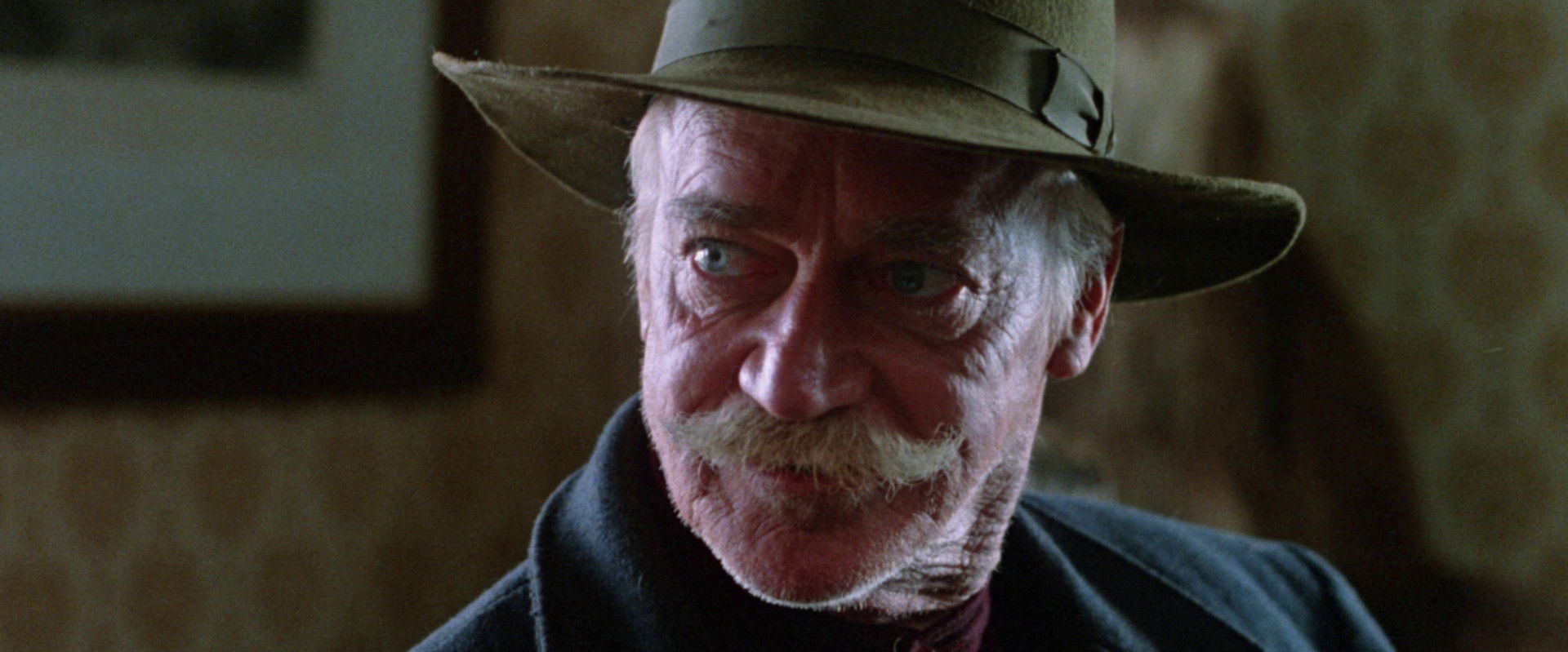 The Grey Fox backdrop