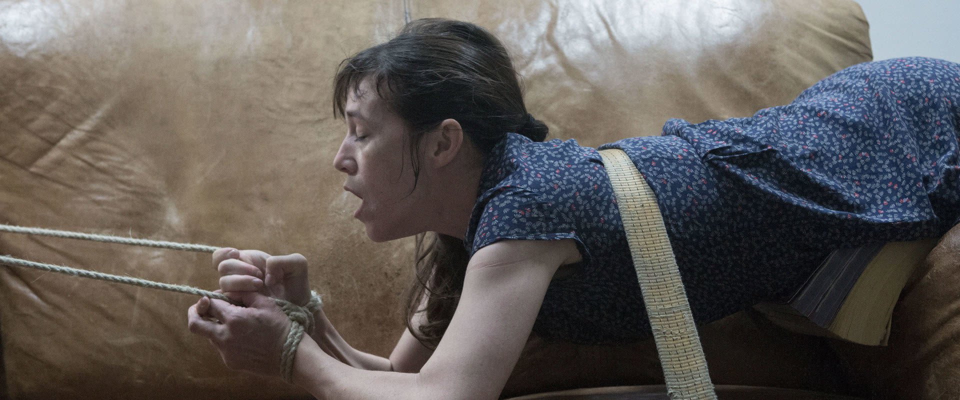 Nymphomaniac: Vol. II backdrop