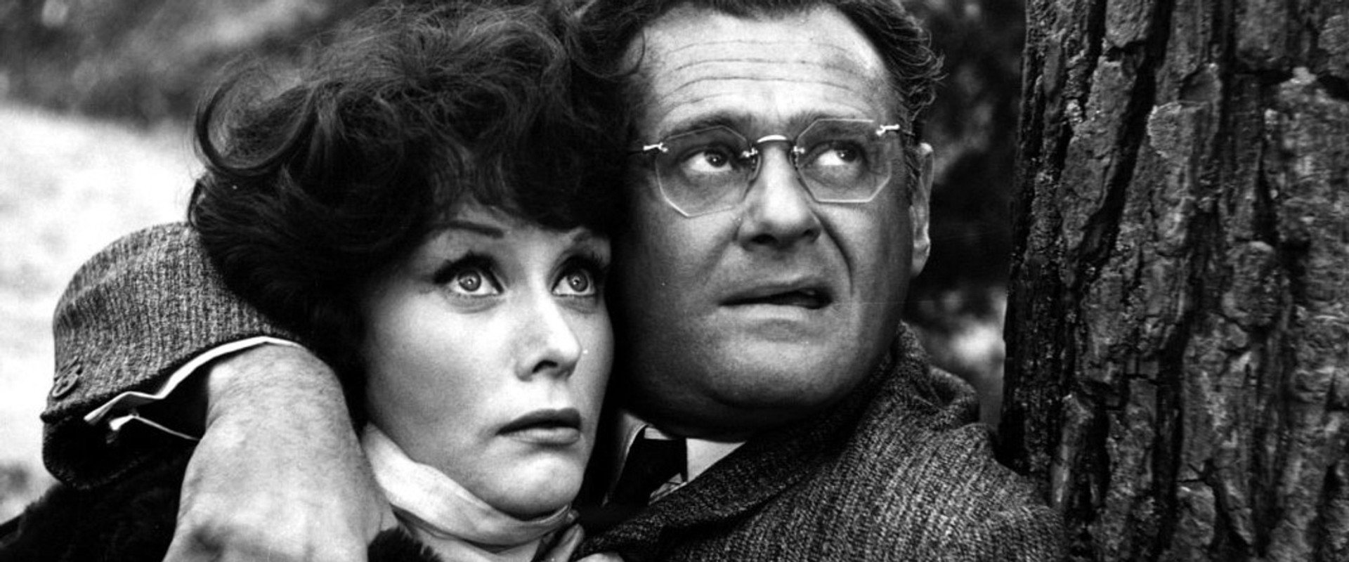 Don Gabriel backdrop