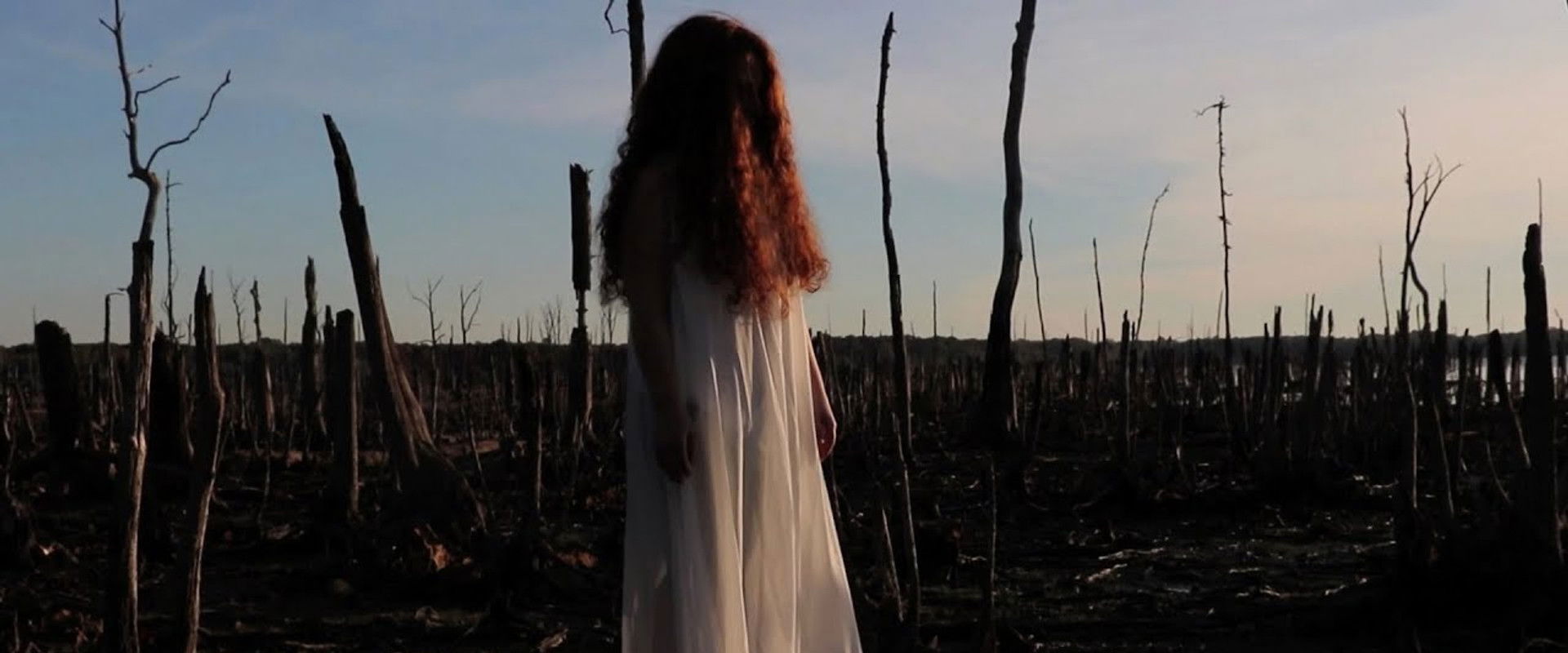 The Girl in the Cornfield backdrop