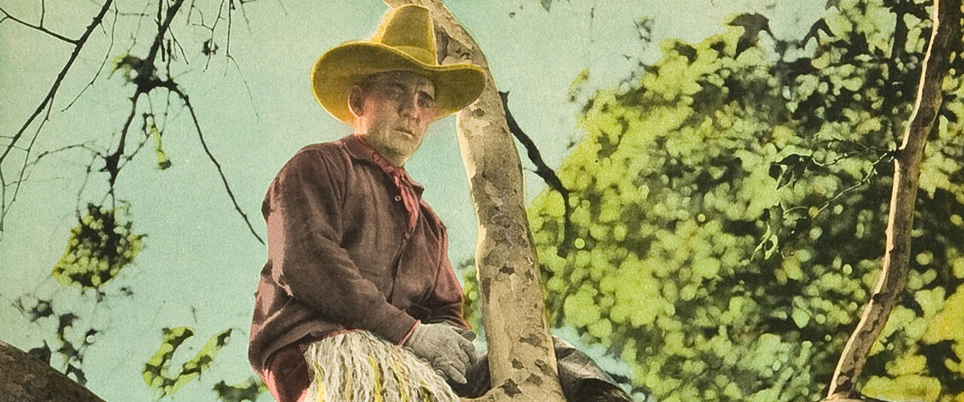 The Gentle Cyclone backdrop