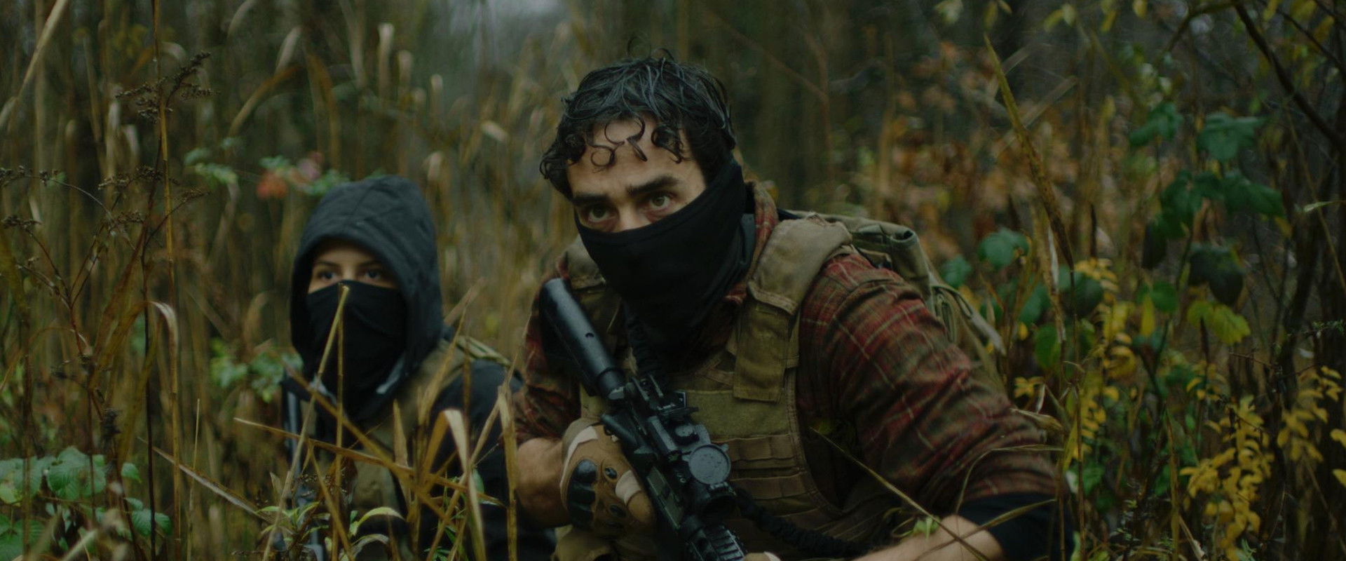 Northern Shade backdrop