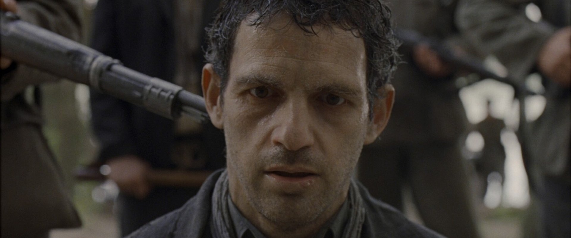 Son of Saul