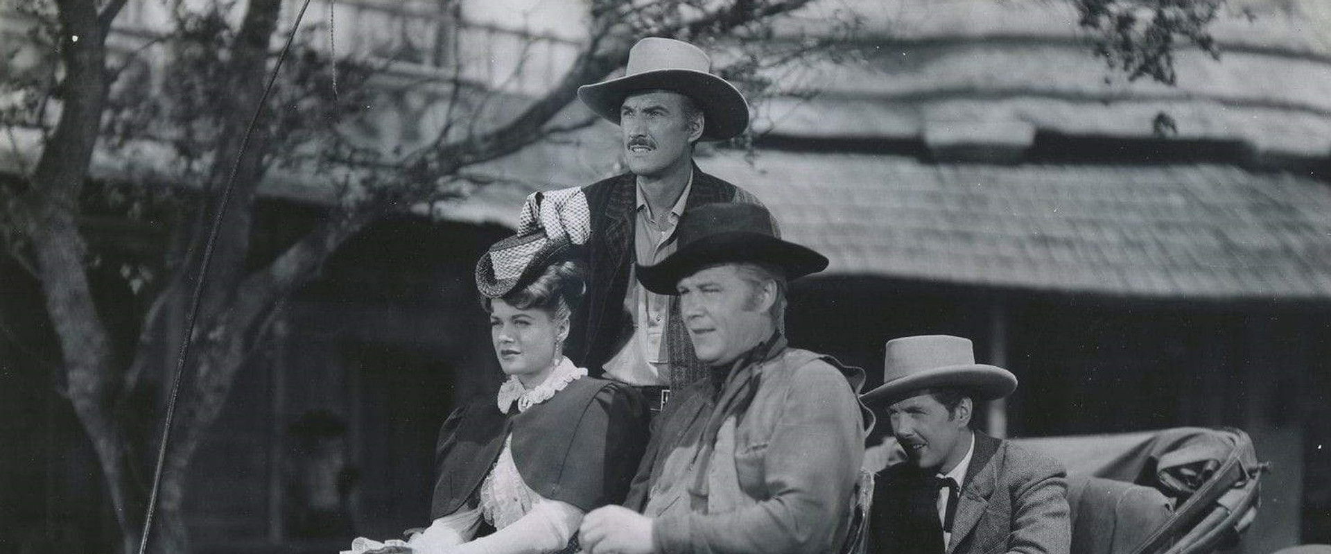 The Younger Brothers backdrop