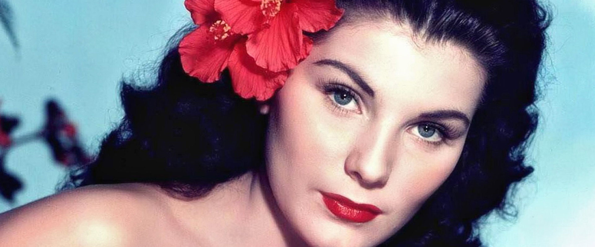 Bird of Paradise backdrop