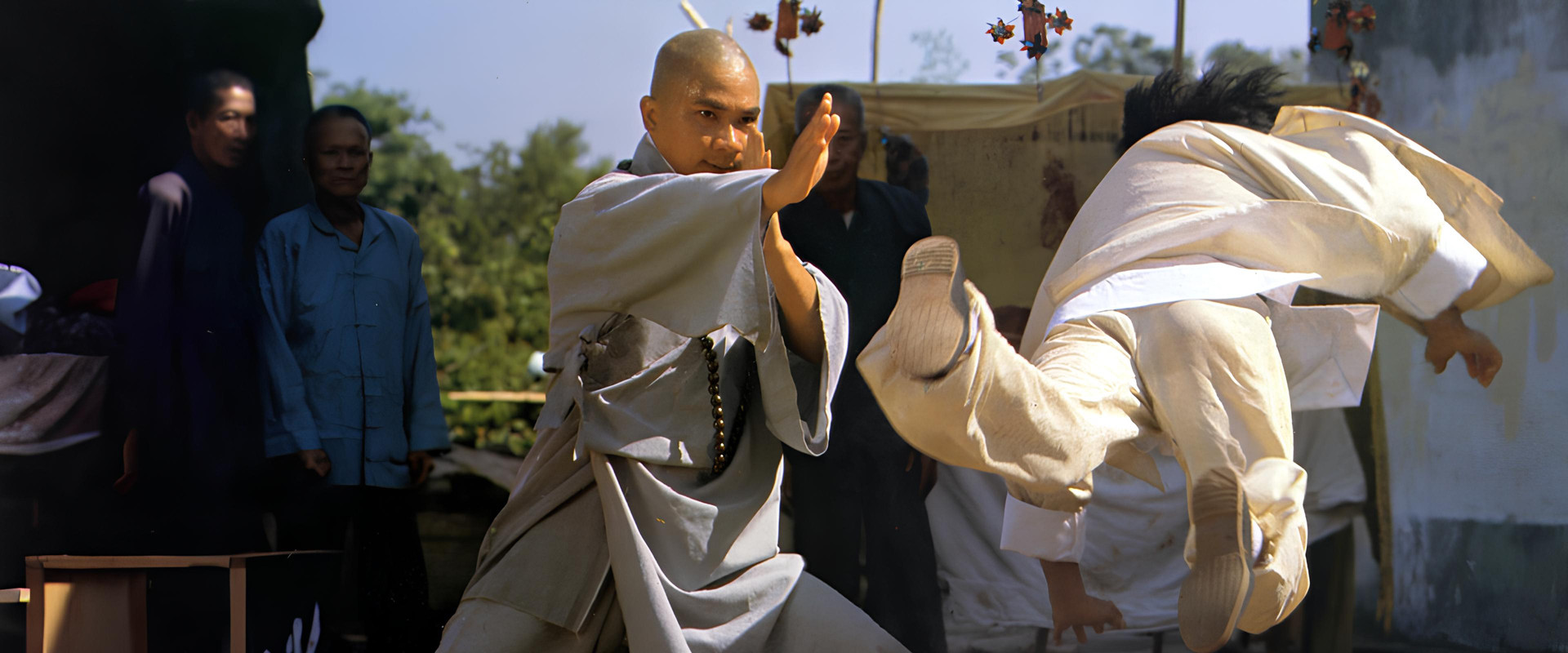 The Buddhist Fist backdrop