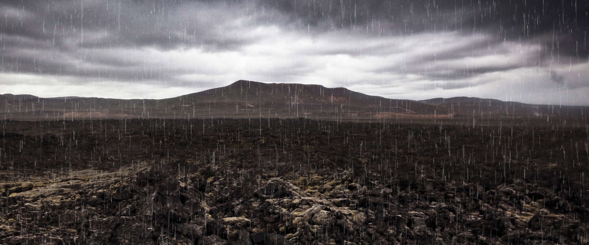 Mass Extinction: Life at the Brink backdrop
