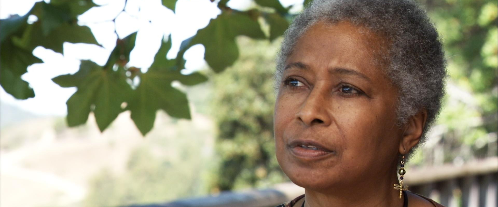 Alice Walker: Beauty in Truth backdrop