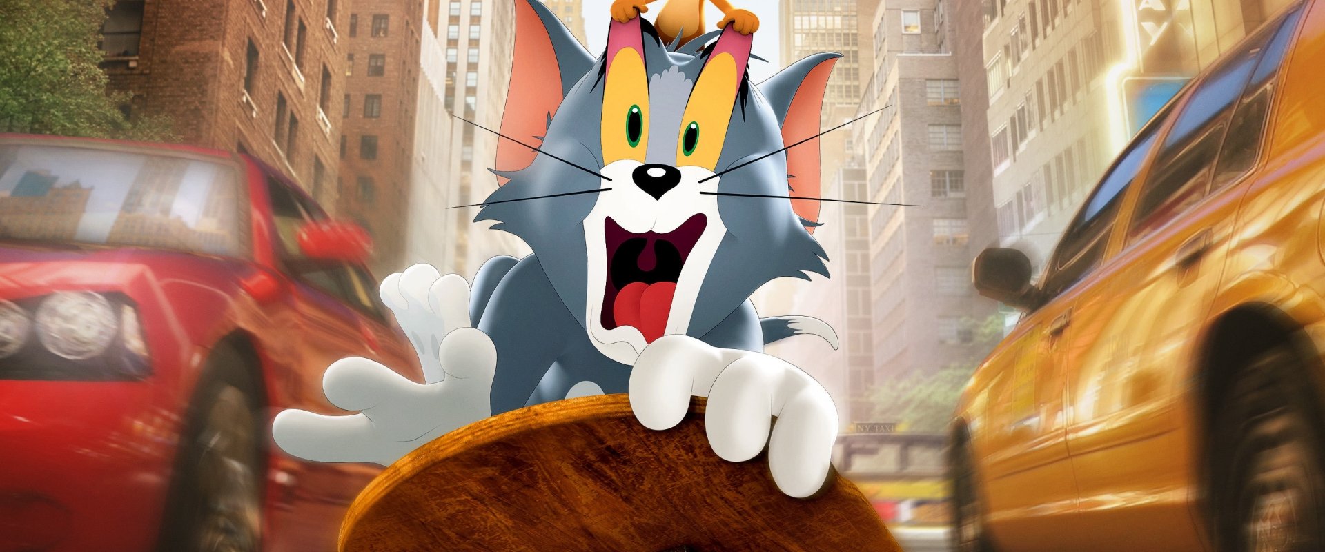 Tom & Jerry backdrop