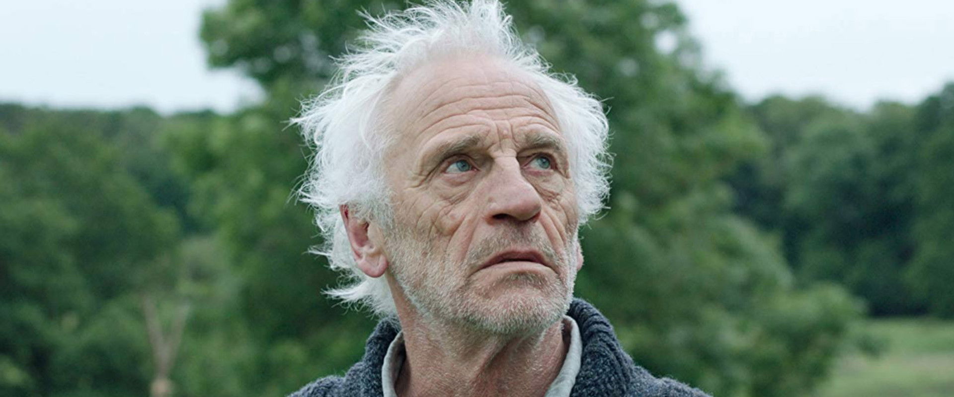 Resurrection backdrop